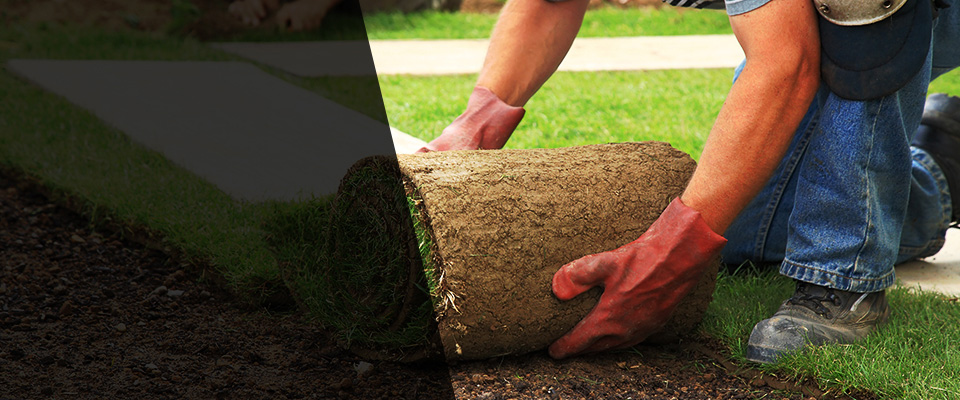 Appomattox Landscapers